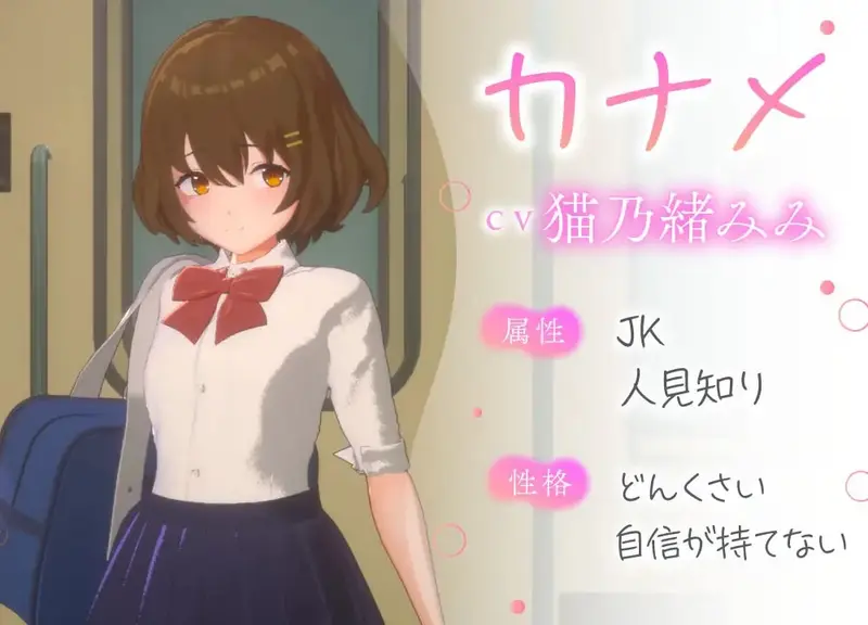 3D Molester Experience Touching Unlimited School Train Edition Preview 3