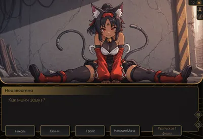 Festival Gold Fox Preview 2