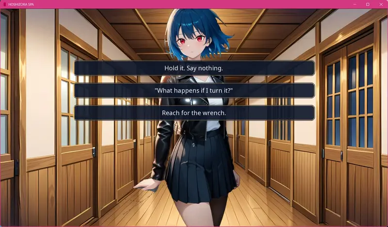 Hoshizora Preview 5