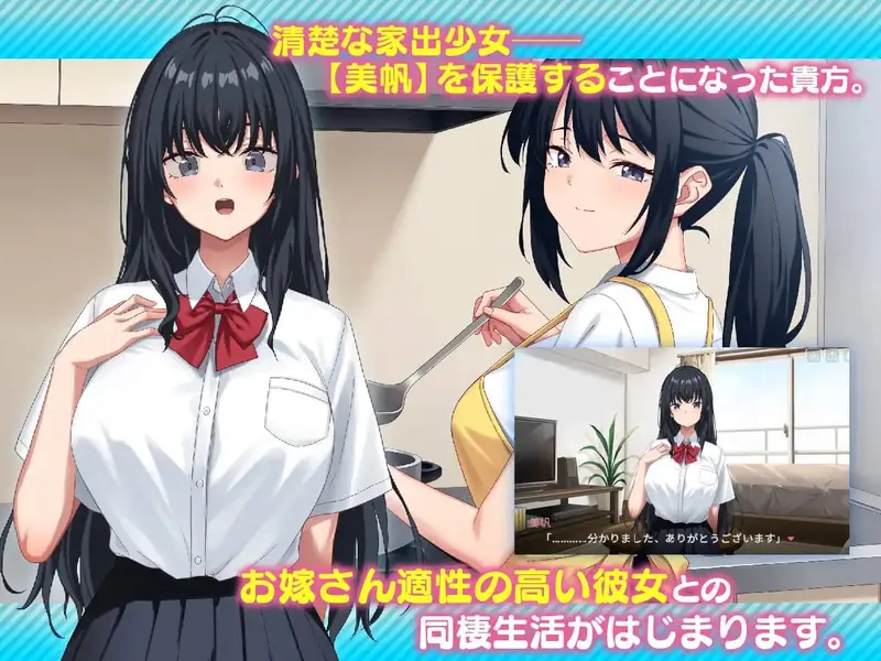 I Picked up a Runaway Girl Preview 8