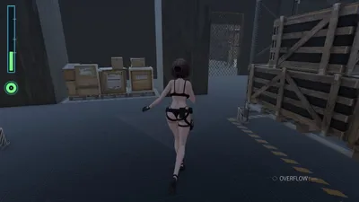 Acme Core Carrier Preview 7