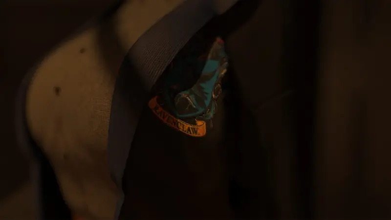 Ravenclaws Chosen Preview 4