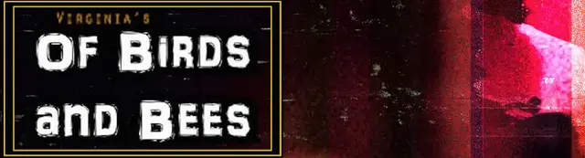 Of Birds and Bees